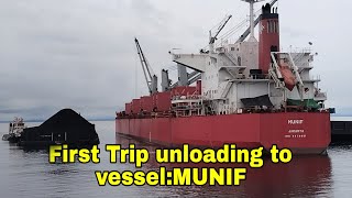 First Trip  Unloading to MV. MUNIF #tranship#coal#tugboat