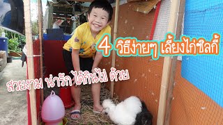 เคล็ดลับ4ข้อง่ายๆ เลี้ยงไก่ซิลกี้ | ชิชิน แชนแนล