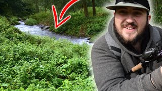 Fishing a TINY STREAM For Predators!