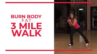 Burn Body Fat 3 Mile | Leslie Sansone's Walk at Home