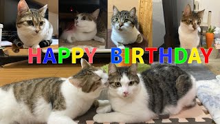 【誕生日】あっという間の２年間。こんな立派に成長しました。