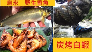 【烏來 南勢溪】意外釣獲野生香魚 @巨岩底下秘密基地