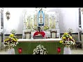 votive shrine daily mass live stream february 06 2025 thursday 6 30 am tamil mass