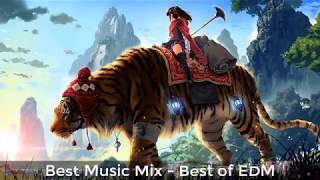 Best Music Mix 2017 | Best of EDM | NoCopyrightSounds x Gaming Music | Music for You