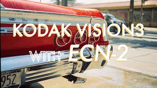Kodak Vision3 (250D) developed with QWD Labs ECN-2
