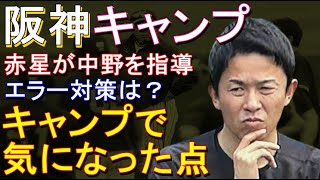 阪神 キャンプで気になった点 2023年2月4日