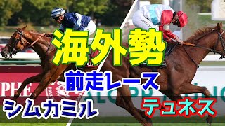 シムカミル・テュネス 前走レース【ジャパンカップ参考】