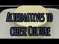 Home cheesemaking. What is culture and why do we need it? Are there alternatives?