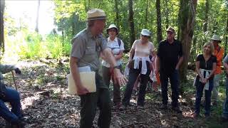 Scribner and Walthall Fight at Winfrey Field Chickamauga Jim Ogden