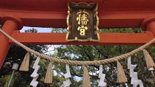 ⛩️鳴海八幡宮🐉🌈  名古屋市緑区鳴海町【御祭神】誉田別命（応神天皇）息長足姫命（神功皇后）稚日女尊  武内宿禰  須佐之男命  大物主命  大国主命etc