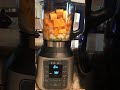 instant ace nova cooking blender butternut squash soup instant ace ace nova butternut squash soup