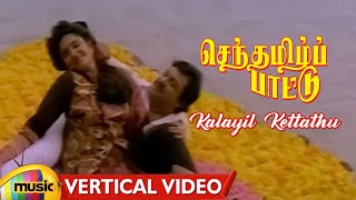 Senthamizh Paattu Tamil Movie Songs | Kalayil Kettathu Vertical Video | Prabhu | Sukanya | MMT