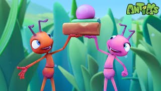 Cookie Rookies 🍪🍪 | ANTIKS | Moonbug Kids - Funny Cartoons and Animation