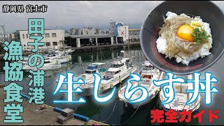 獲れたてぷりぷりの生しらす丼が食べられる！田子の浦港 漁協食堂 アクセス・駐車場・メニュー・注文方法