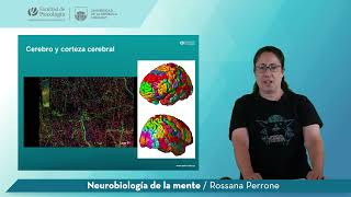 UCO Neurobiología de la mente - Docente: Rossana Perrone