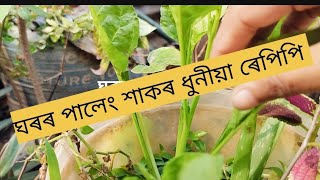 ঘৰৰ পালেং শাকৰ ধুনীয়া ৰেপীপি এটা চাও আহক 🌱🌱🌱