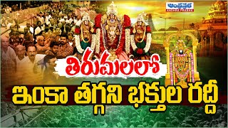 Huge Devotees Crowd at Tirupati | తిరుమలలో తగ్గని భక్తుల రద్దీ | Andhraprabha Bhakthi