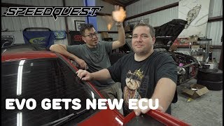 SpeedQuest Evolution gets a new ECU, Shop Strangers, and Gator Wrestling