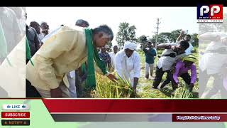 # దేశంలో రైతులకే ఎక్కువ అప్పులు: చంద్రబాబు #apgovt #farmers #farmerslife #cbn #chandrababu #apcmbabu