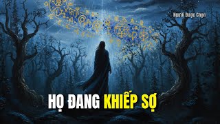 The Chosen One: The Secret 7 Stages of Awakening That Will Scare Manipulators