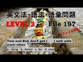 英文法・語法・語彙問題　レベル３（標準）File 197