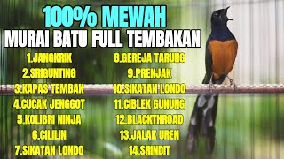 MASTERAN MURAI BATU JUARA TEMBAKAN MEWAH YANG DISUKAI JURI 100% AMPUH LANGSUNG GACOR