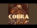 Cobra Spit (feat. Nikita Taliana)