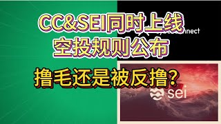 项目空投 | CC\u0026SEI同时上线币安，空投规则公布 是薅羊毛还是被反撸了？#airdrop #seinetwork #cyberconnect #binance