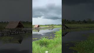 Created  Short#សម្រស់ទេសភាពធម្មជាតិ ពិត និងការកែច្នៃរួមផ្សំ នៅបឹងព្រះពន្លៃ ខេត្ត ពោធិ៍សាត់