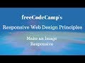 freeCodeCamp's Make an Image Responsive,Web Design Principles