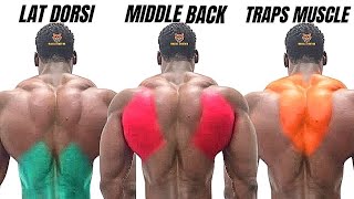 TOP 5 LAT MIDDLE BACK AND TRAPS WORKOUT WITH DUMBBELLS BARBELL CABLE  ONLY AT HOME OR GYM