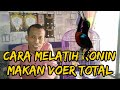 Cara  melatih burung konin/kolibri makan voer kering total