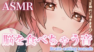 【ASMR】今年もいただきます♪脳を食べる音[Brain-eating sounds]