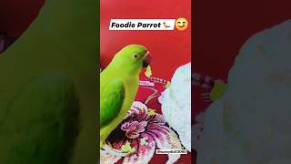 Foodie Parrot hai 🦜😋 || #viral #shorts #youtubeshorts #parrot