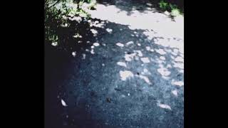 Pîrvu - Hai plimba lupu'