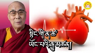 HH.Dalai lama’s speech about the reason of heart disease #rumtekkarmaekhenpo