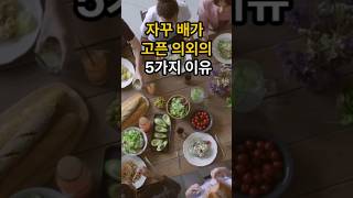 자꾸 배가 고픈 의외의 5가지 이유