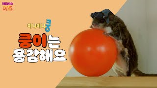 하늘 다람쥐 쿵이!ㅣ4회. 쿵이는 용감해요ㅣ귀여운 동물 친구들! 미니미니쿵ㅣKBS 방송