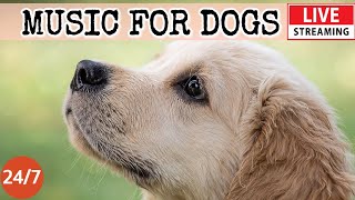 [LIVE] Dog Music🎵 Calming Music for Dogs🐶🎵 Soothing Sleep Music💖Anti Separation anxiety Relief 🔴 2-1