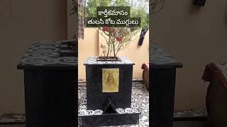 కార్తీకమాసం తులసికోట ముగ్గులు / karthikadeepam / thulasikota