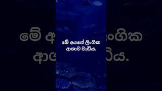 හම්බෝ මෙයාලා තමයි වැඩේට මරුම 😍😍. #psychology  #education #shorts