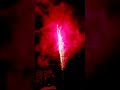 Chinese New Year Fireworks Display #shorts