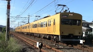 【伯備線】JR西日本　地域色115系電車　ｵｶG-01編成+ｵｶG-04編成