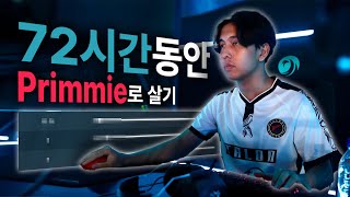 3일간 Primmie 세팅을 쓰면 생기는 일