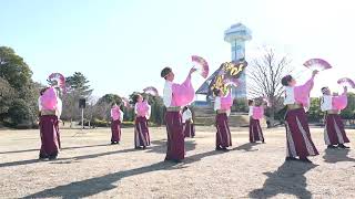 ちゃわん娘　２回目演舞　犬山踊芸祭〜絆プロジェクト〜　2025年１月26日　木曽三川公園