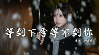 赵薇薇 - 等到下雪等不到你 (抖音热播DJ版) Đợi Tuyết Rơi Đợi Không Được Em『雪花在空中飘落，寒风吹过我心头，街上行人匆匆』【抖音火流行歌曲推荐】『动态歌词MV』