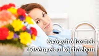 Gyógyító kertek - növények a kórházban