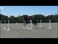 At Home With Glenbeigh Farm | Bounce Exercises | Show Jumping Training Tips