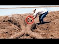 This Man Noticed That The Ground Under His Feet Was Moving, What He Found Was Simply Shocking!