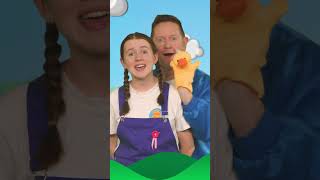 Three Little Ducks Finger Puppets #nurseryrhymes  #shorts - The Mik Maks Kids Songs
